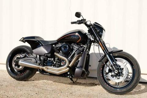 EX DEMO 2019 Harley-Davidson FXDR 114