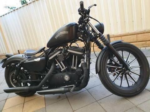 Harley Davidson Iron 883 Custom