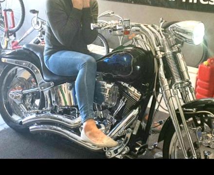Harley Davidson springer
