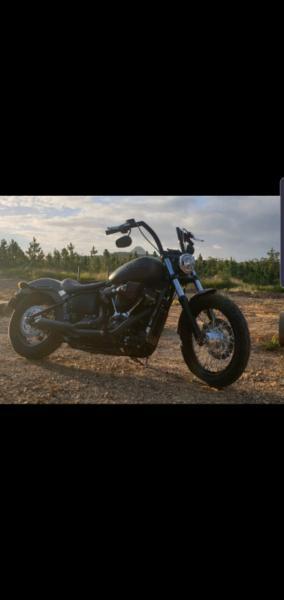 Harley Davidson street Bob 2019 107 s & s 475 cam soft tail