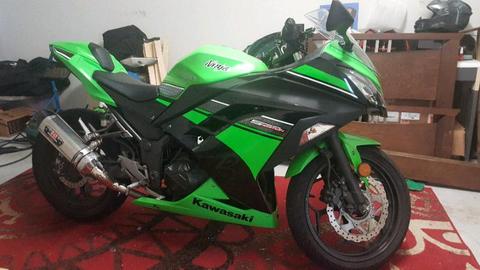 GREAT CONDITION NINJA 300 ABS SPECIAL EDITION