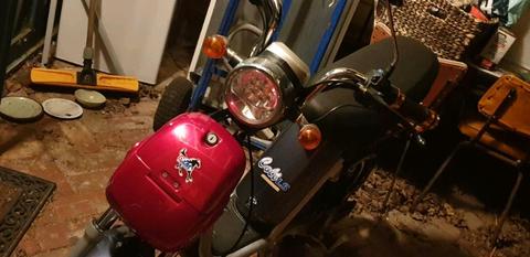 Electric bike/scooter for sale