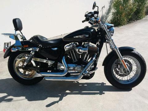 Harley 1200 Sportster/ Cruiser- Excellent condition