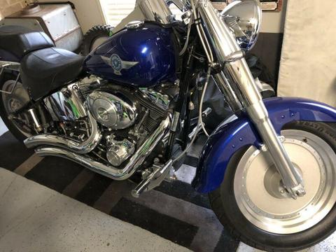 2005 fat boy Harley Davidson