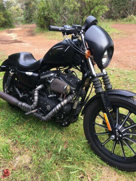 Harley Sportster 883 Iron Custom