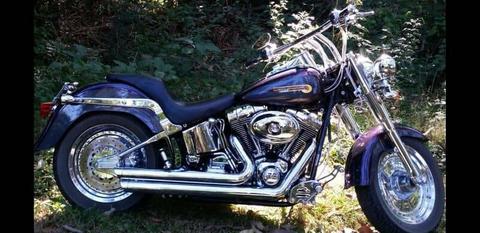 Wanted: harley davidson fatboy 2004 exhaust wanted