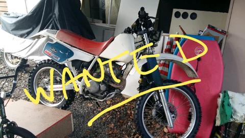 Wanted: WANTED 1990's Trail / Enduro MOTORCYCLE