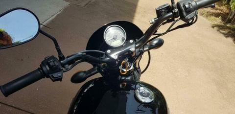 Harley XG 500 Street Rod