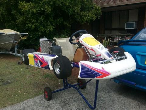 Arrow go kart with water cooled rotax motor