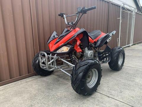 2011 Quad Bike 100cc Automatic