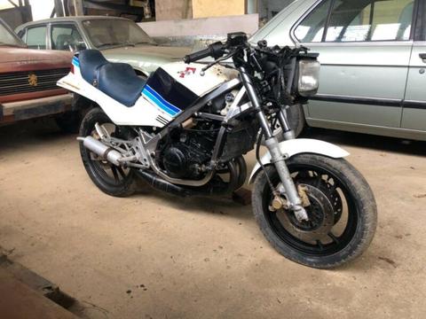 Suzuki rg250 gamma