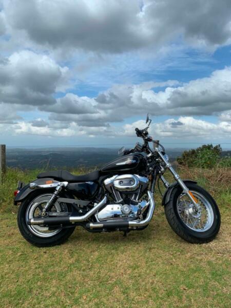 Harley Davidson 1200cc custom