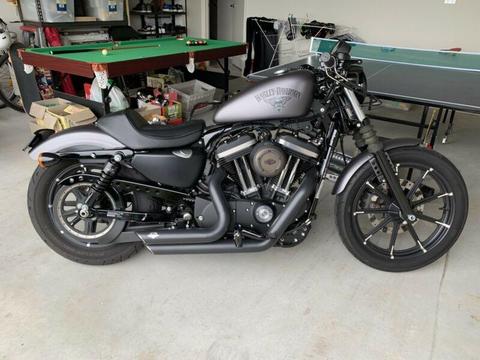 Iron 883 Harley Davidson