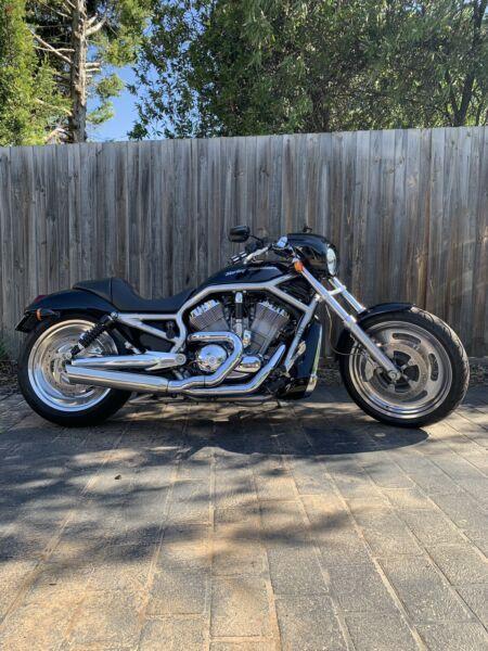 Harley Davidson Vrod