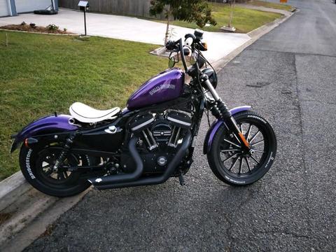 MY 2014 Custom Harley Iron Bobber