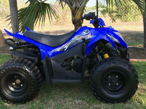 QUAD BIKE IMMACULATE CONDITION