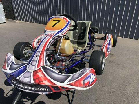 Arrow go kart with rotax 125 engine