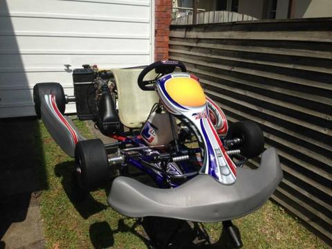 Arrow X1E go kart 125cc Rotax