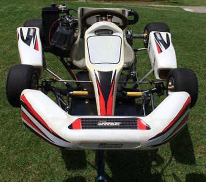 go-kart with 125 rotax motor