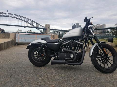 Harley Davidson Iron (1250cc Upgrade)