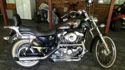 1200 Harley Davidson