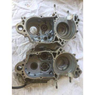 2003 Kawasaki kx250 engine cases