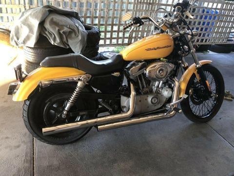 Wanted: Harley 1200 Custom