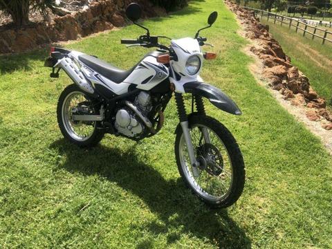 Yamaha 2008 XT 250