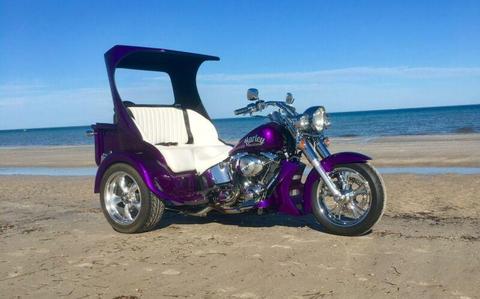 Custom Fatboy Harley Trike $40000