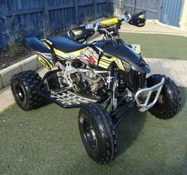 Can-Am DS450X XC 2009 Quad