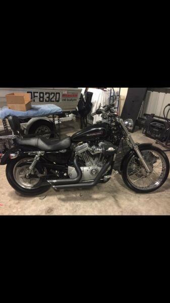 Harley Davidson sportster custom 883