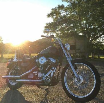 FXR custom lowrider Harley Davidson