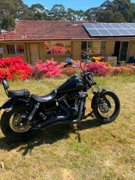 Harley streetbob