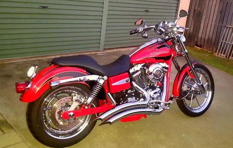 Harley Davidson Rare CVO Screamin Eagle Dyna 110 FXDSE