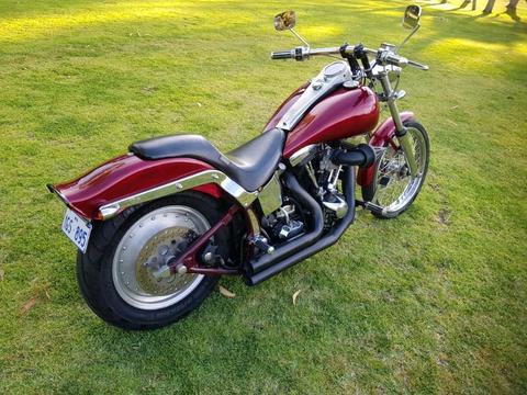 1986 Harley Davidson Custom Softail