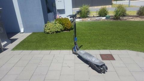 Electronic scooter