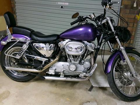 Harley sportser 883