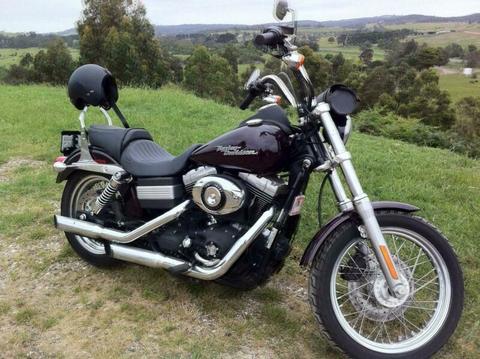 2007 Harley Davidson - Street Bob