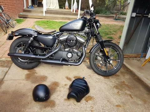 Harley Davidson 883 Iron -MY2016 - VERY LOW KMS