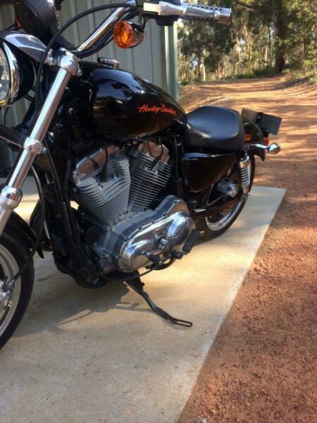 Harley Davidson Sportster 883 super low