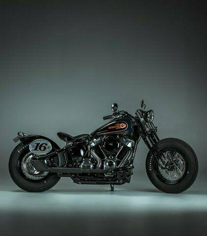 2019 Harley-Davidson FLSL Slim (107)