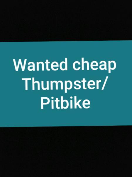 Wanted: Looking for a thumpster or pitbike