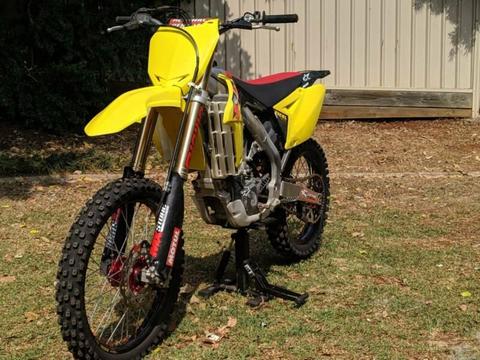 2013 rmz450