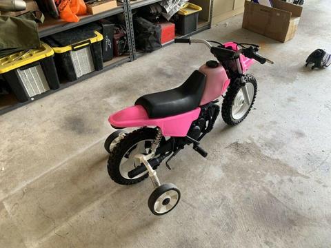 PW50 with training wheels