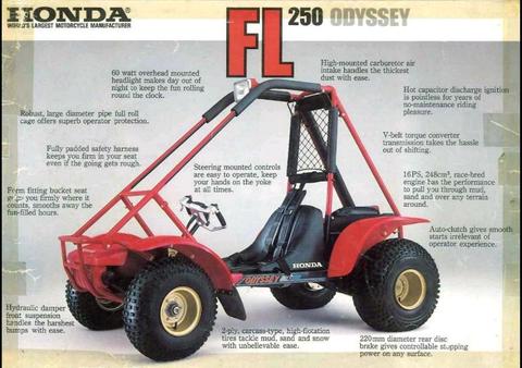 Wanted: FL250 Honda Odyssey wheel guards/fenders