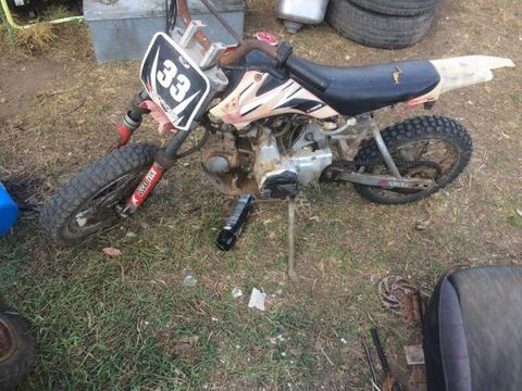 50cc thumpster can take adult goes hard