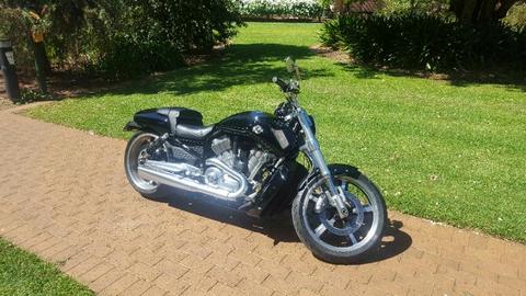 2010 VROD MUSCLE 1250CC