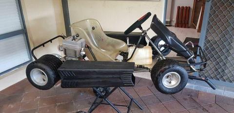 Go Kart KT100S