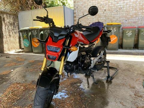 2017 Honda Grom for sell in perfect condition or swap