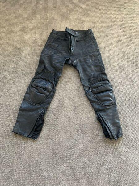 Motorbike leather pants (fieldsher)